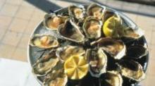 Regional oysters in Sète or Gruissan
